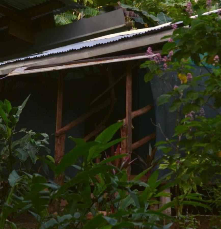 Corcovado Guide House Hotel Barrigones Exterior photo